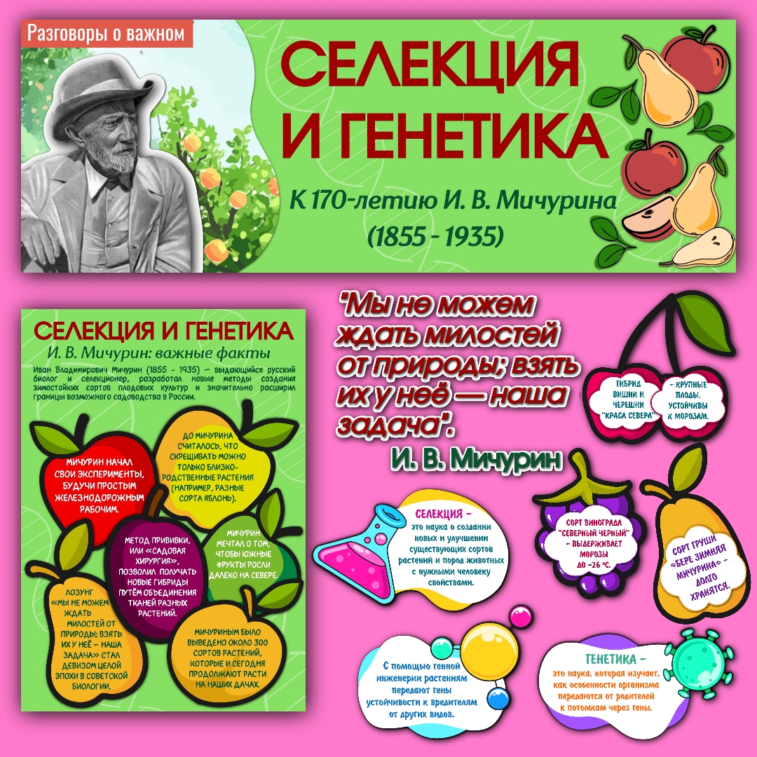 Оформление «Селекция и генетика. К 170-летию И. В. Мичурина». Разговоры о важном, 10 ноября.