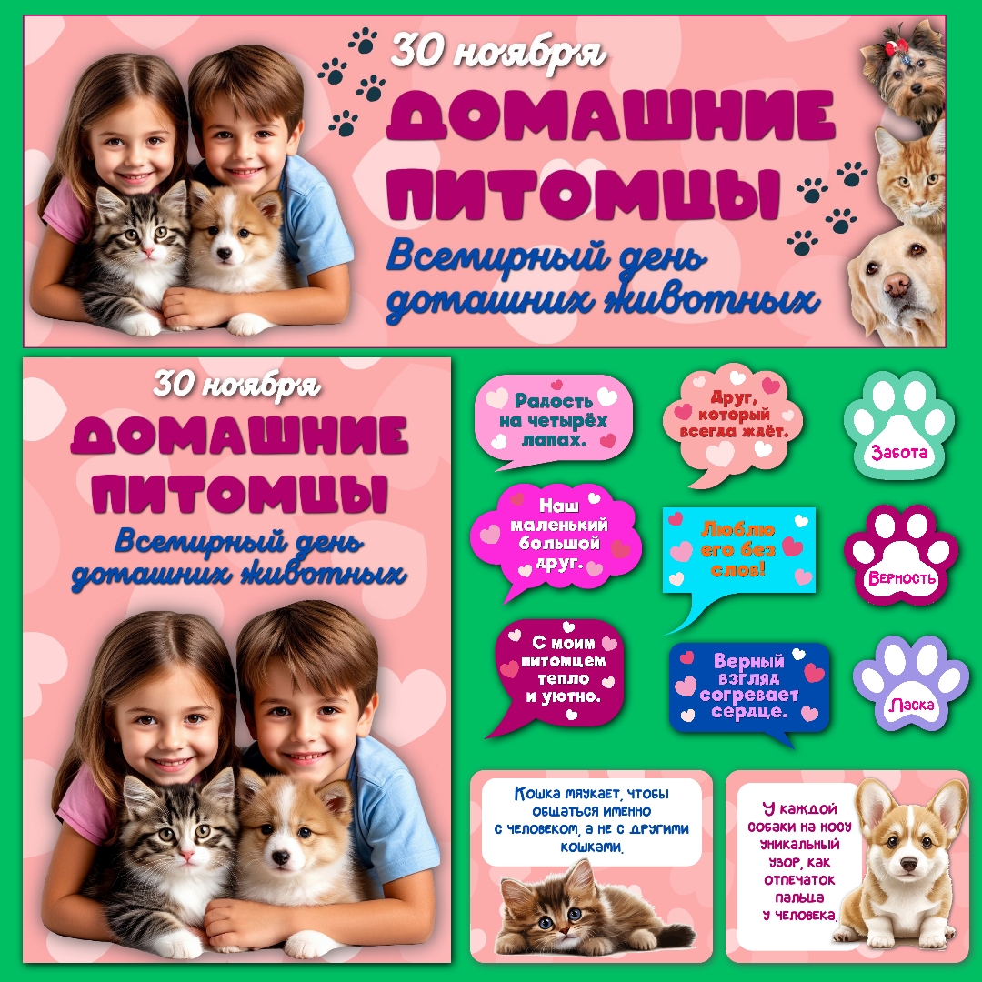 Оформление «Всемирный день домашних животных», 30 ноября