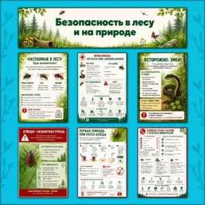 Оформление «Безопасность в лесу и на природе» — плакаты для школы.